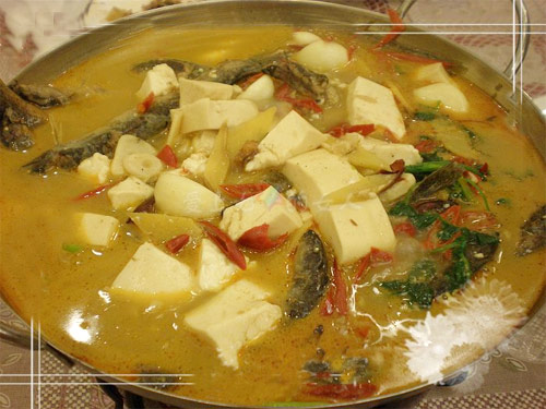 【张家界美食】泥鳅穿豆腐