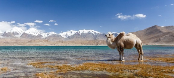 新疆旅游景点排名