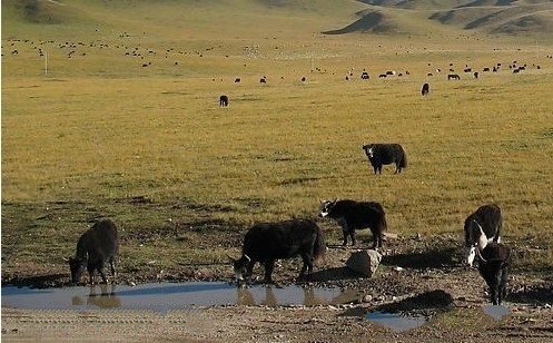 甘肃自助旅游几月去最好