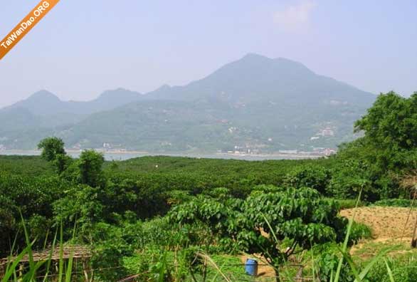 挖仔尾红树林保护区