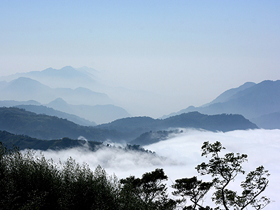 嘉义景点：阿里山观云海