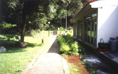 惠蓀咖啡園-惠蓀咖啡園一景