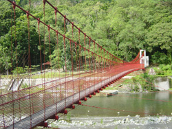 觀林吊橋-觀林吊橋01