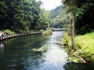 福山植物園-綠野香波