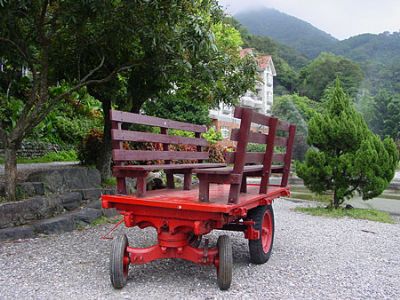 頭城農場-鄉村牛車