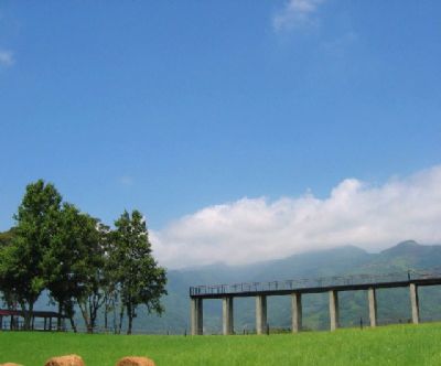 台東原生應用植物園-境.靜