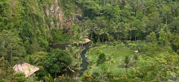 巴厘岛自助游图片