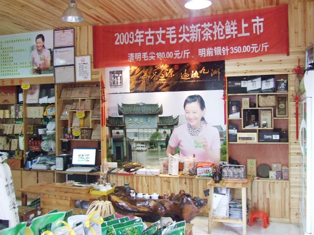 毛尖茶店