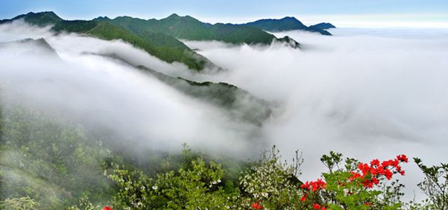 【庐山】“千人游庐山”活动庐山汽车二日游