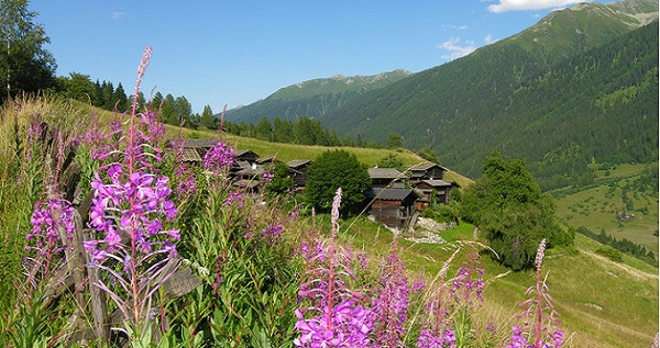 瓦莱州戈姆斯旅游概况