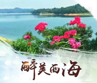 【金沙滩狂欢之夜】武宁西海花源谷（金沙滩）包岛2日游
