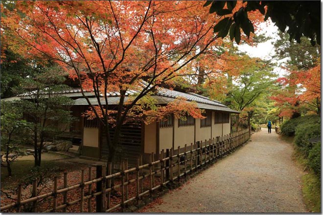 日本：四国岛-全球十大净化心灵之地
