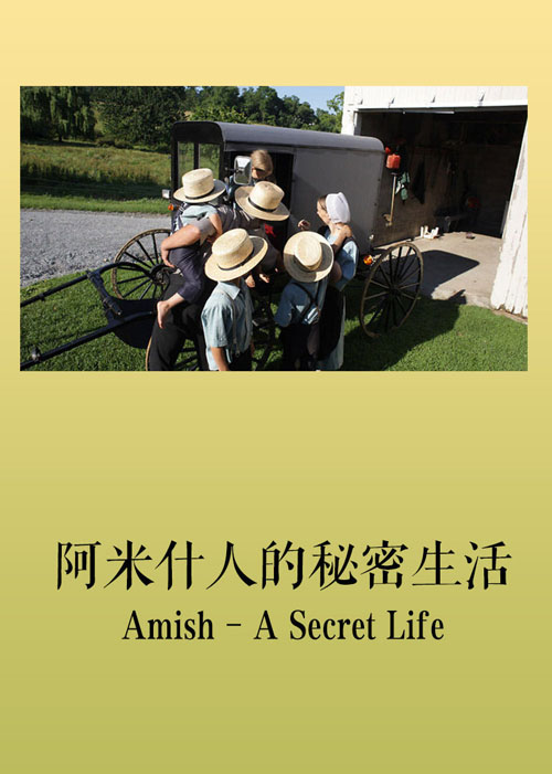 有关阿米什人的电影有哪些？
