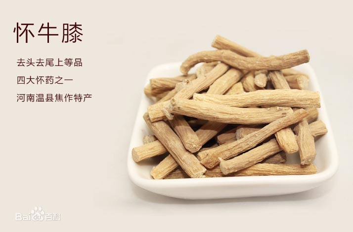 焦作温县特产-温县四宝四大怀药
