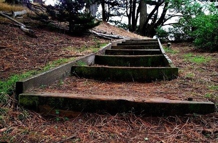 旧金山景点：Buena Vista公园