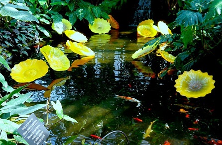 芝加哥景点：加菲尔德温室公园