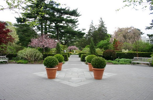 纽约景点：纽约植物园