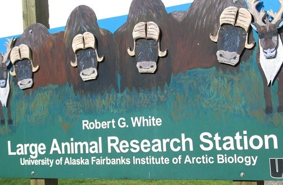 Large Animal Research Station
