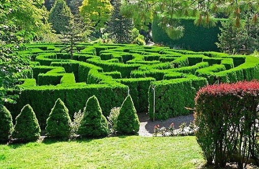 温哥华景点：范度森植物园