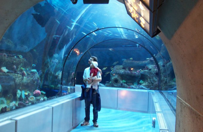魁北克景点：魁北克水族馆公园