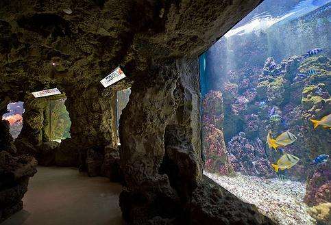 
	 里窝那水族馆旅游