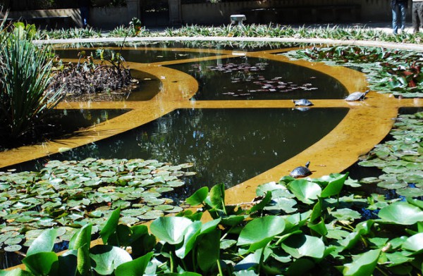 帕多瓦植物园_巴勒莫 _意大利