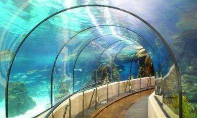 
	 巴塞罗那水族馆