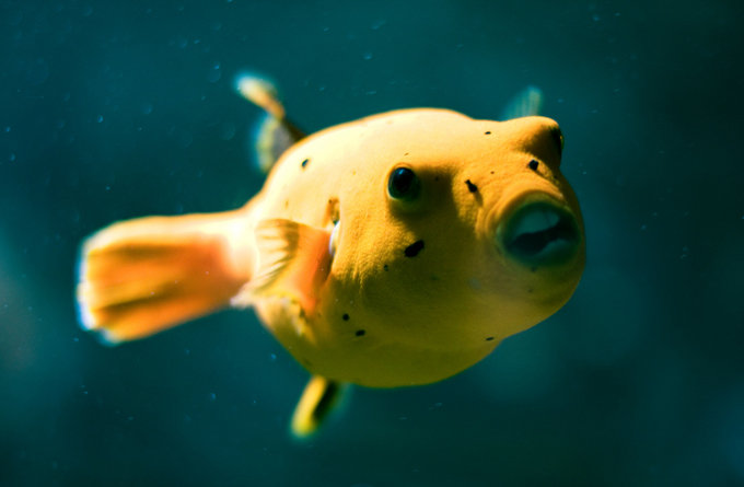 印度洋太平洋水族馆_达尔文_澳大利亚