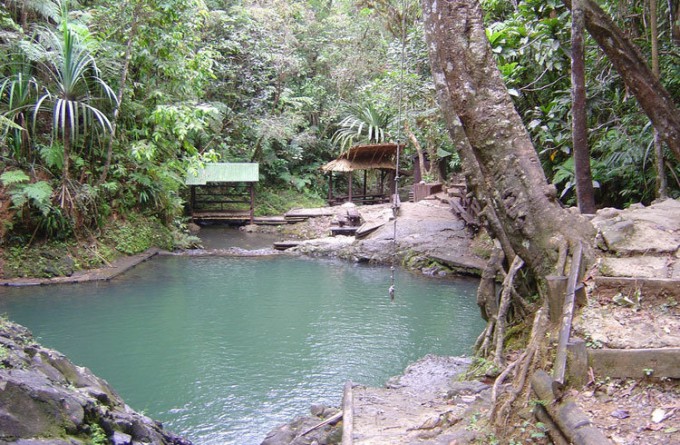 Colo-i-Suva Forest Park