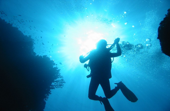 Taveuni Dive