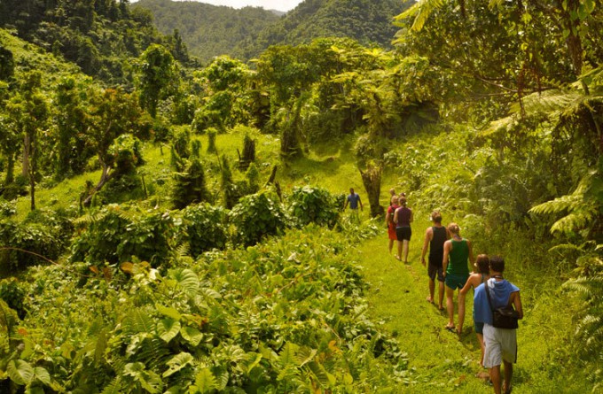 Vidawa Rainforest Hike