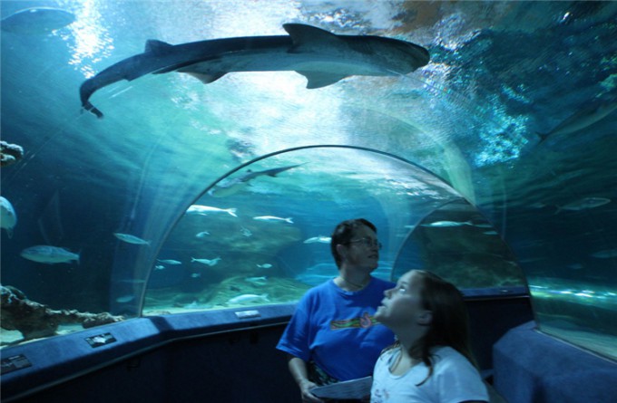 新西兰国家水族馆_纳皮尔_新西兰