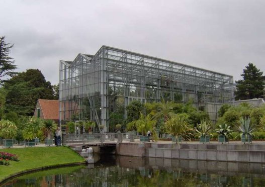 
	 莱顿大学植物园