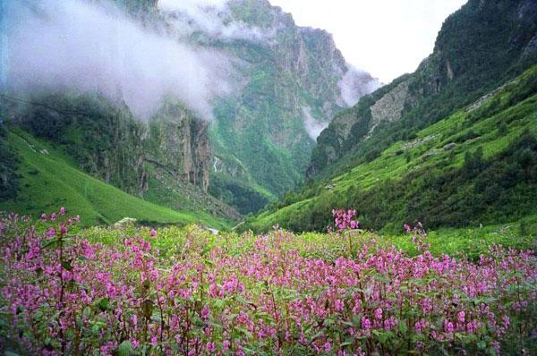	 楠达戴维山国家公园和花谷国家公园