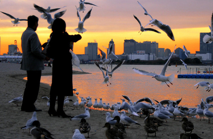 台场及台场海滨公园_东京_日本