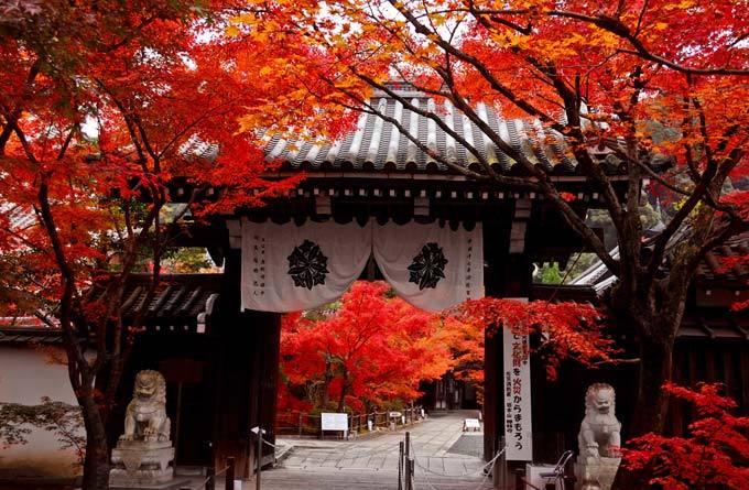 禅林寺_京都_日本