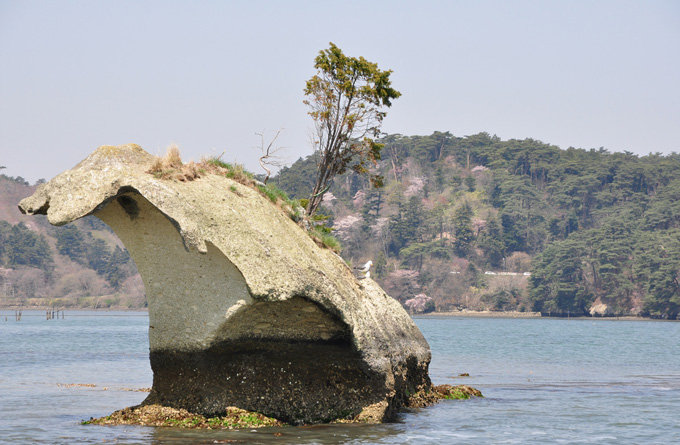 松岛 _仙台 _日本