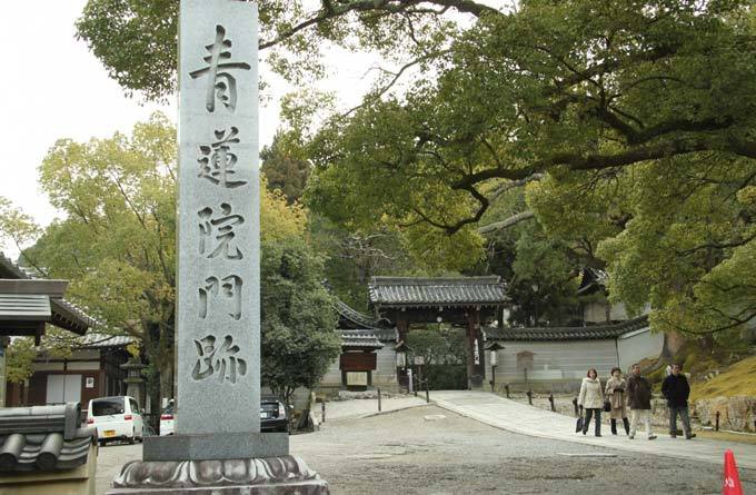 青莲院庭园_京都_日本