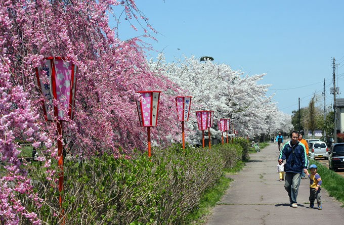 新泻城市概况