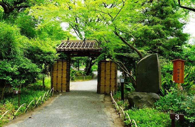 向岛百花园_东京_日本