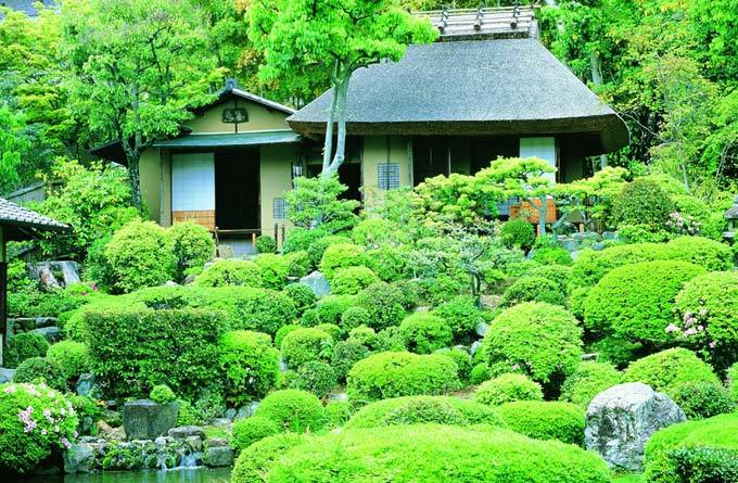 西芳寺_京都_日本