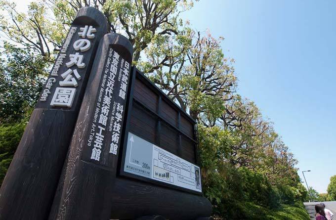 北之丸公园_东京_日本