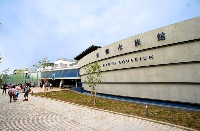 京都水族馆_京都_日本