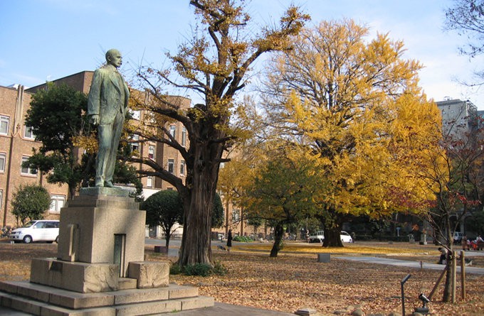 东京大学_东京_日本