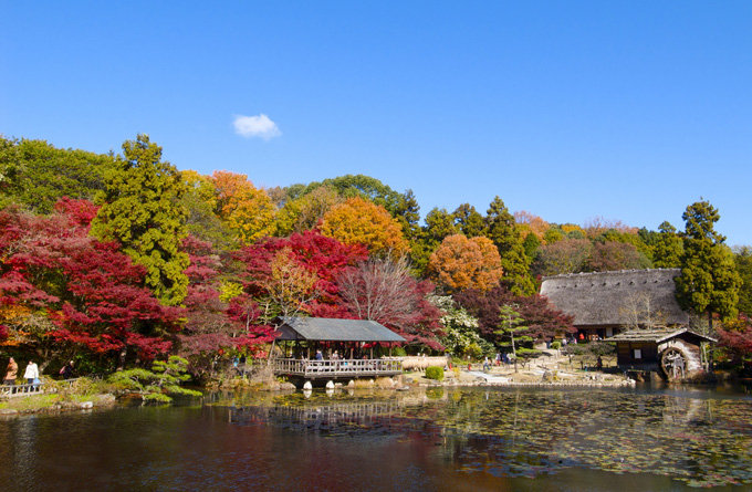 东山动物园和植物园_名古屋市_日本