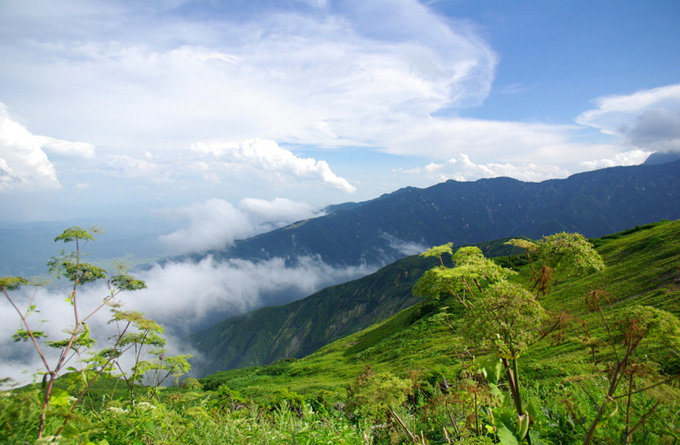 白马山 _长野 _日本