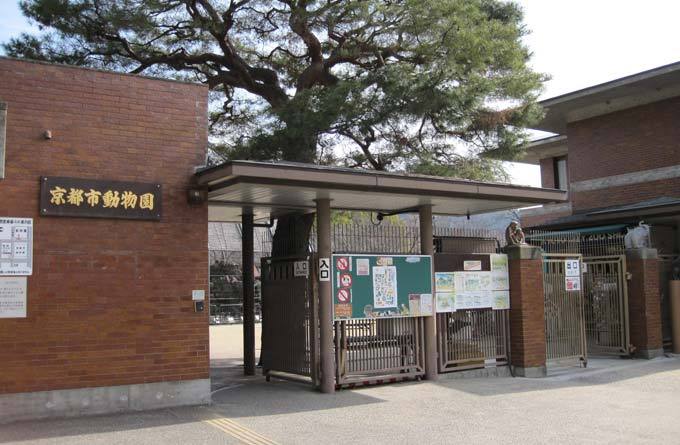京都市动物园_京都_日本