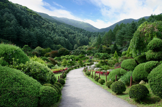 晨静树木园_加平郡_韩国