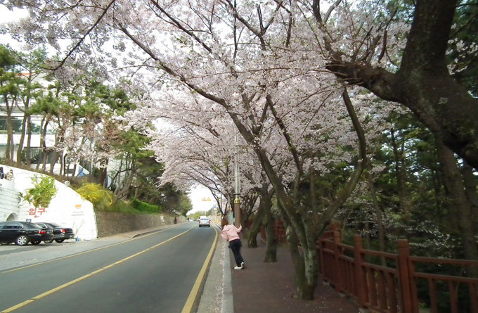 迎月路_釜山_韩国