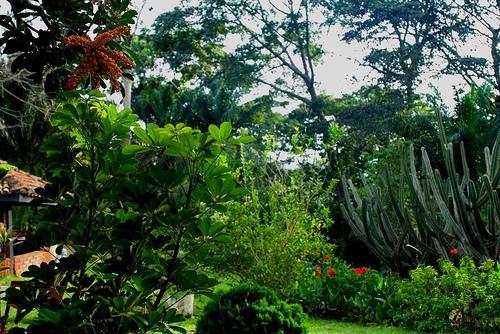 阿布里植物园旅游